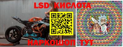 spice Свободный