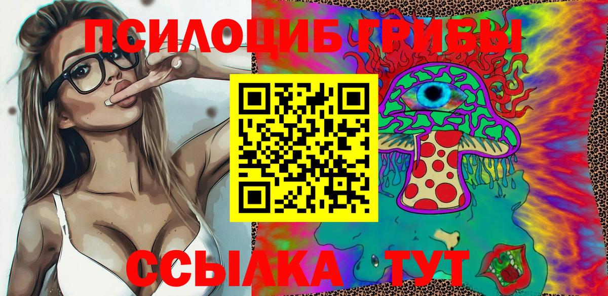 Галлюциногенные грибы мицелий  Вход с VPN  где купить наркоту  Россия 