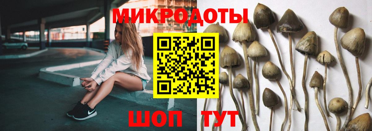 Галлюциногенные грибы GOLDEN TEACHER Россия